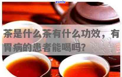 胃病为什么不能喝茶-胃病为什么不能喝茶水