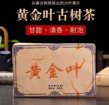 黄金叶茶砖是什么茶叶做的，「黄金叶茶砖」是由什么茶叶制成的？