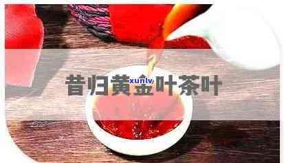 黄金叶茶：种类与归属全解析