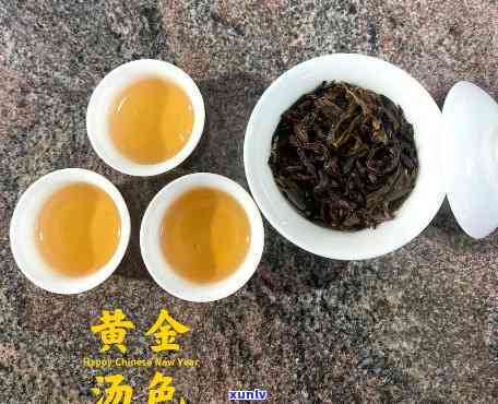 黄金叶茶：种类与归属全解析