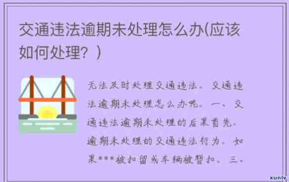 交通罚款逾期解决  ：怎样解决罚款逾期疑问？