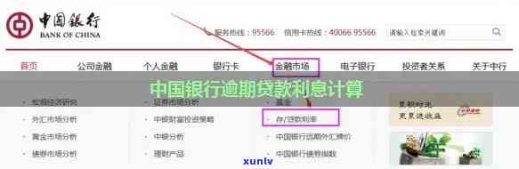 中国银行逾期费用是多少，探究中国银行的逾期费用标准