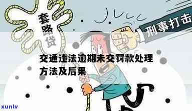 违反交通法逾期-违反交通法逾期怎么处理