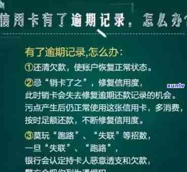 什么玉镯最贵又好看？探索其价值与美丽的双重魅力！