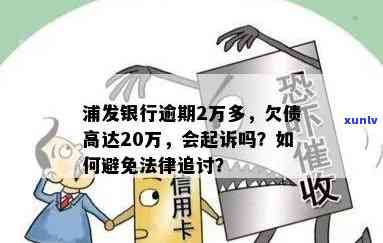 云南七子饼茶宫廷珍藏品价格与包装全面解析