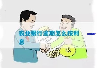 农业逾期一个月-农业逾期一个月会怎么样