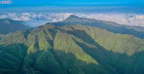 三山川茶叶：商城与股份的茶叶业务全景