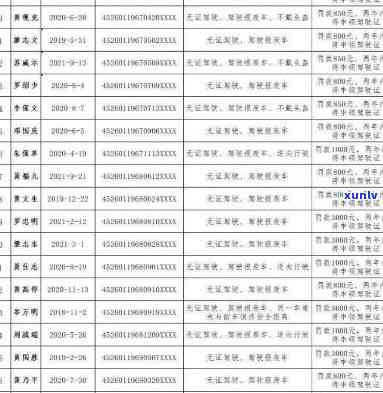 交通逾期罚款单-交通逾期罚款单图片