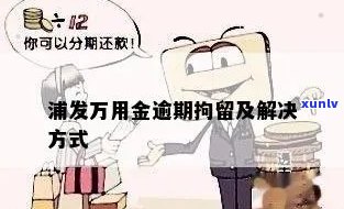 浦发万佣金逾期-浦发万佣金逾期无能力偿还,银行起诉了怎么办