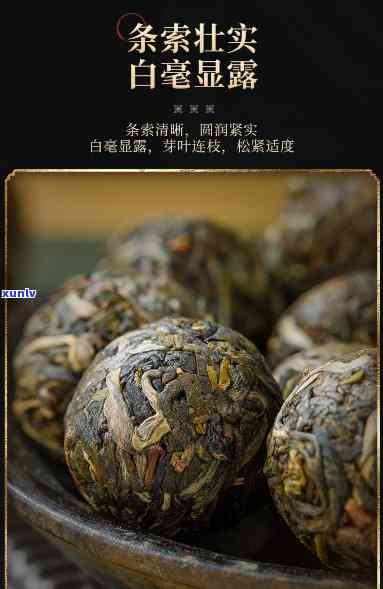 一般7克龙珠茶多大-一般7克龙珠茶多大的