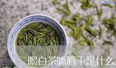 为什么喝茶嘴唇干裂呢，探究茶叶引发的唇部干燥问题原因