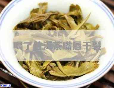 为什么喝茶嘴唇干裂呢，探究茶叶引发的唇部干燥问题原因