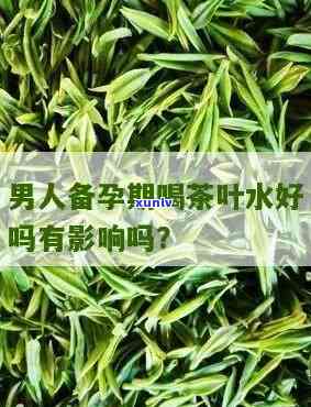 男人备孕喝茶真的能影响胎儿性别吗？