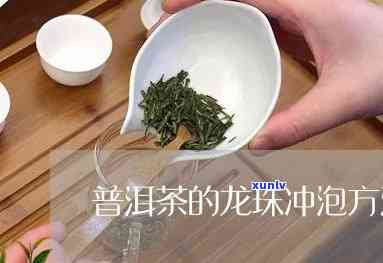 龙珠的冲泡 *** 全解：从白茶到龙珠茶