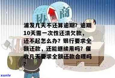 浦发逾期10天了让一吹还清，还不起咋办？全额还款还是只还本期？