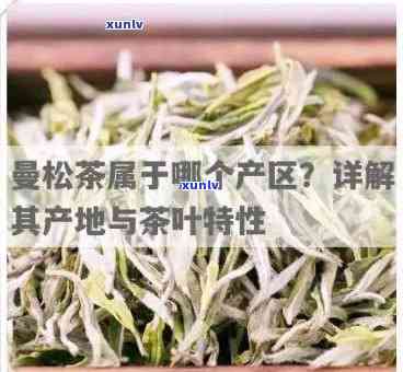 曼松茶是哪里的产地-曼松茶是哪里的产地啊