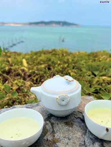 海口喝茶的地方：海边寻觅茶香之旅