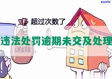 信用卡忘记还款有逾期记录怎么办：处理建议与解决方案