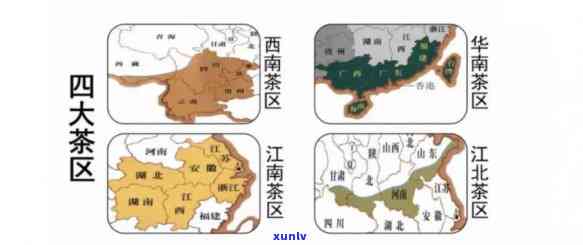 中国四大茶区有哪些，探秘中国茶文化：揭秘中国四大茶区及其特色