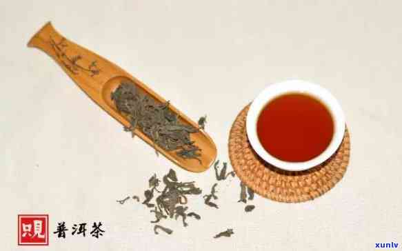 一级茶区有哪些-一级茶区有哪些名称