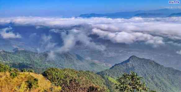 哀牢山在哪县？解析其准确地理位置