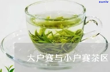 大户赛属于哪个茶区-大户赛属于什么档次的茶