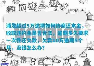 浦发贷款逾期协商还款的流程是什么，详解浦发贷款逾期协商还款流程