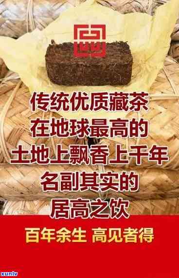 雅安茶厂藏茶价格表大全：前十排名及最新报价