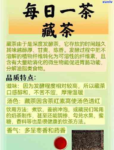 普洱茶的产地：种植地区、地理环境和气候条件对普洱茶品质的影响