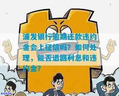 浦发银行逾期费-浦发银行逾期还款违约金 会上吗