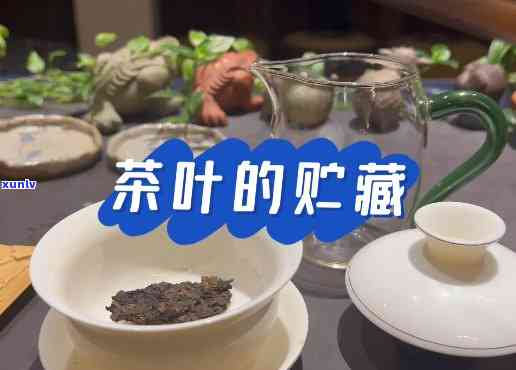 藏茶存放多久才能喝-藏茶存放多久才能喝了