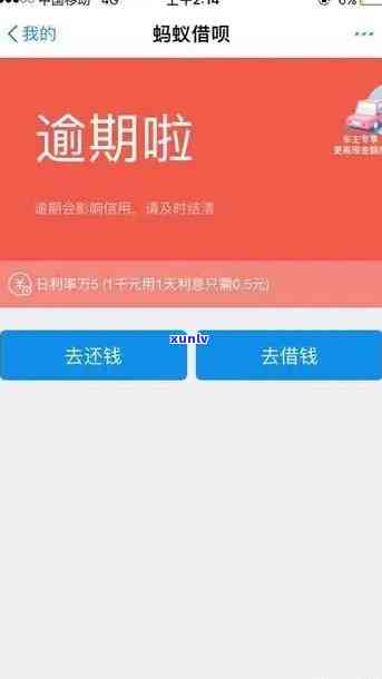 发逾期3天，现在要我全额还款，有什么解决办法？