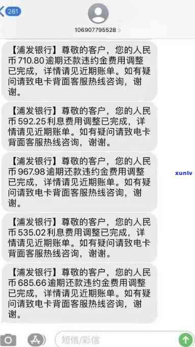 浦发逾期20天被冻结,只还了更低额度怎么办，浦发信用卡逾期20天被冻结，仅还更低额度如何处理？