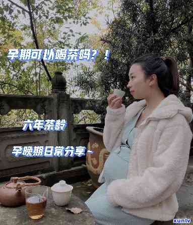 孕妇可以喝藏茶吗？晚期需要注意什么？