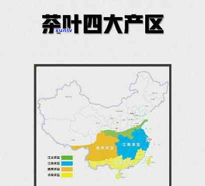 简述我国的四大茶区及其主要包含省份，详解中国四大茶区及所属省份