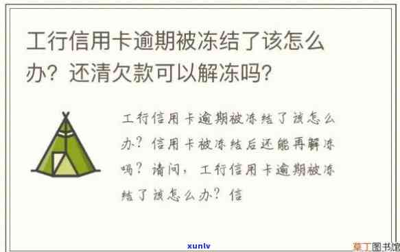 工商逾期冻结后还款能否解冻？怎么操作？