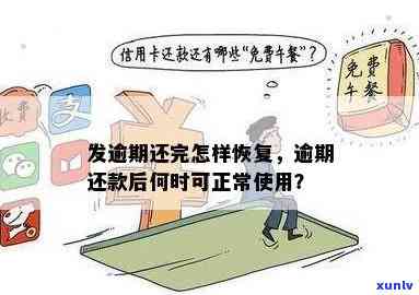 发逾期还款后什么时候可以正常采用，恢复信用：发逾期还款后，何时能重新采用？