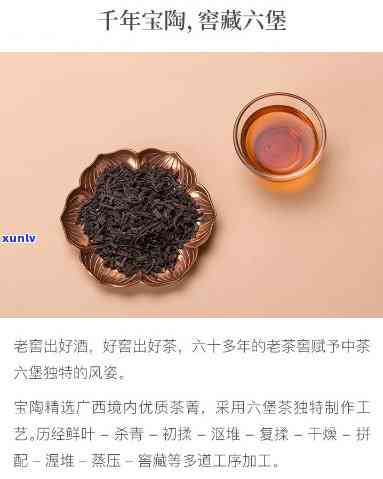 六窖堡藏茶是什么茶-六窖堡藏茶是什么茶类