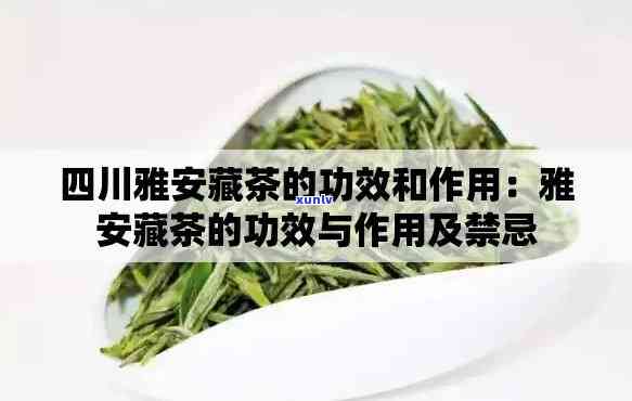 雅安藏茶雅细好喝吗-雅安藏茶雅细好喝吗值得买吗