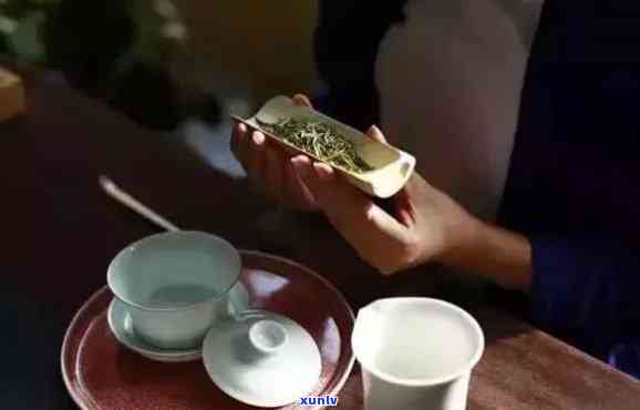 喝茶应该注意的细节是什么，品味茶香：你应该知道的喝茶细节