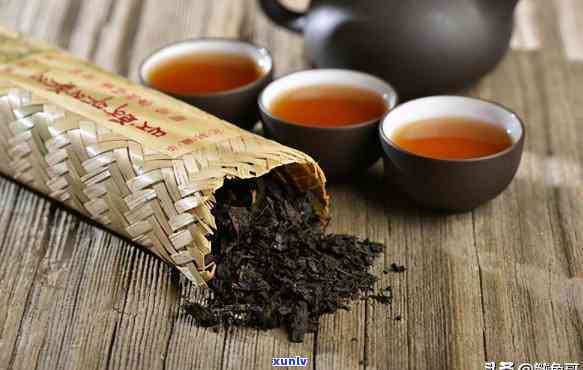 雅安藏茶是什么茶种？探究其分类与类型