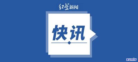 翡翠中六的价格是多少？全面解析翡翠中六的价值