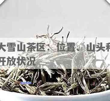 普洱0083：探寻普洱茶珍品之源