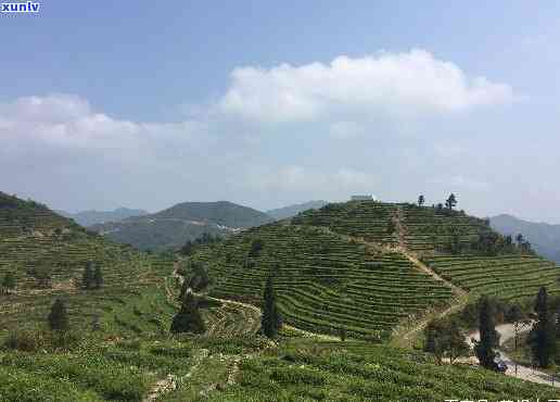 安溪茶山风景区：位置、介绍与游记