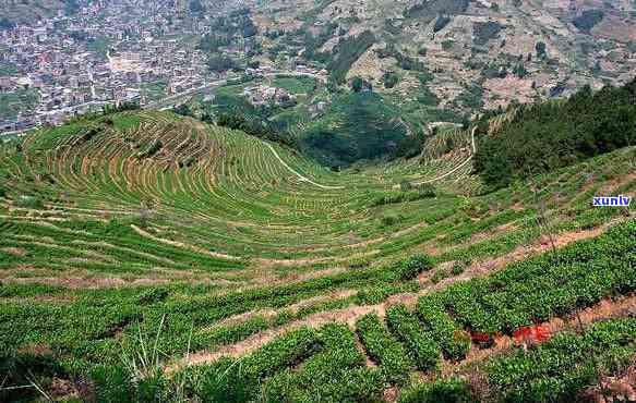 安溪茶山风景区：位置、介绍与游记