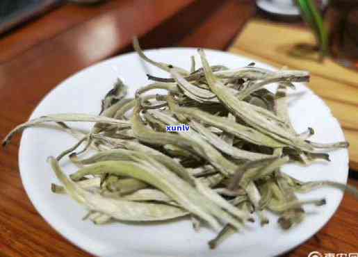 景谷大白芽属于哪种茶？详解其类别与品种