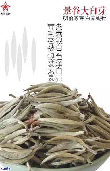 景谷大白芽属于哪种茶？详解其类别与品种