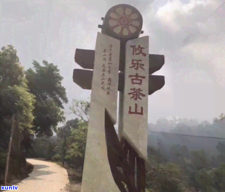 攸乐茶区有哪些山头-攸乐茶区有哪些山头村