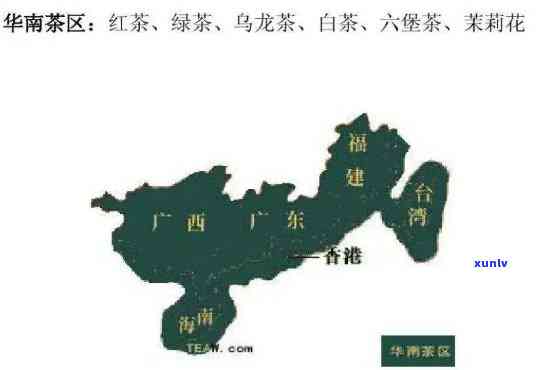 东省属于什么茶区-东省属于什么茶区啊