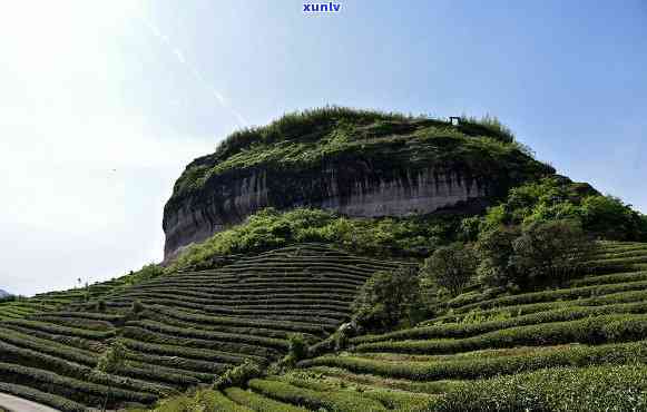 武夷山茶山图片大全欣高清美图